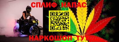 PSILOCYBIN Коммунар
