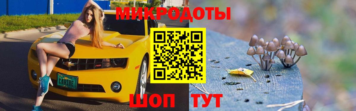 Балашов  Галлюциногенные грибы прущие грибы  Вход с VPN  Псилоцибиновые грибы Magic Shrooms 